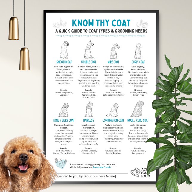 Affiche Dog Coat Types Chart - Groomers Wall Art  (Créateur téléchargé)