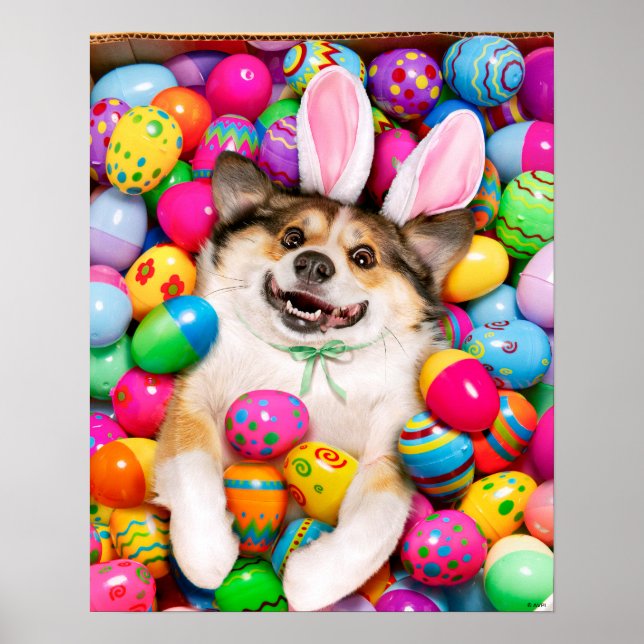 Affiche Dog Laying on Easter Eggs (Devant)
