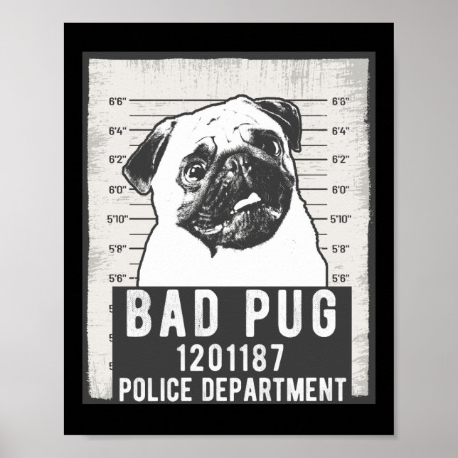 Affiche Dog Mug Shot Criminal Pug (Devant)