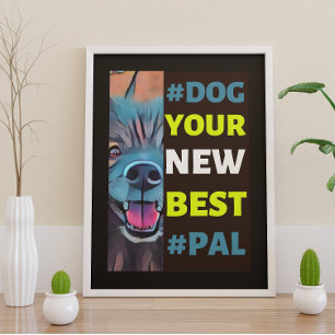 Affiche #Dog, ton nouveau meilleur #Pal ...Keeshond