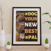 #Dog, ton nouveau meilleur #Pal...Mastiff
