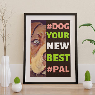 Affiche #Dog, ton nouveau meilleur #Pal...Pitbull