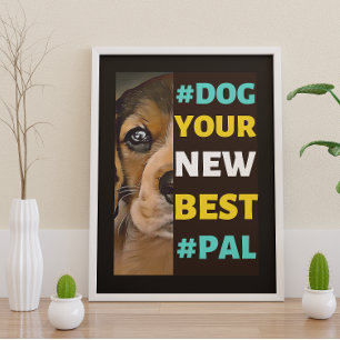 Affiche #Dog, votre nouveau meilleur #Pal...Beagle