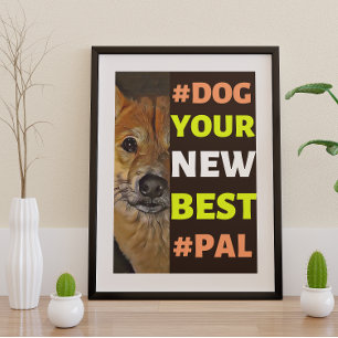 Affiche #Dog, votre nouveau meilleur #Pal...Shiba Inu