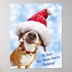 Affiche Dog With Big Santa Hat