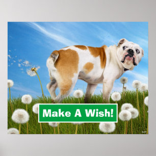Affiche Dog With Dandelion