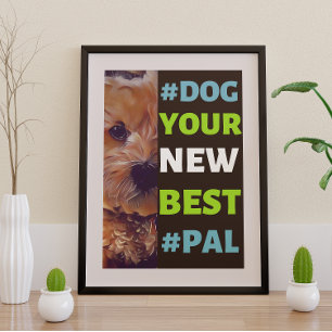 Affiche #Dog, your New Best #Pal ...Cavapoo