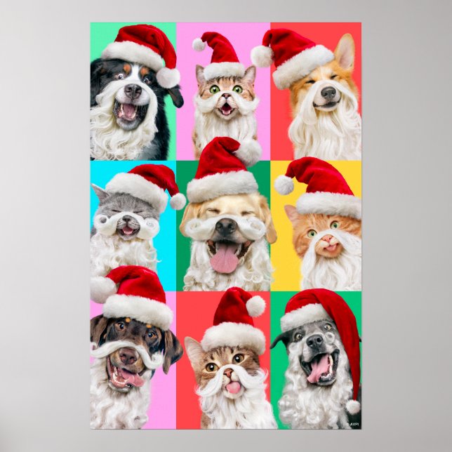 Affiche Dogs and Cats with Santa Beard (Devant)