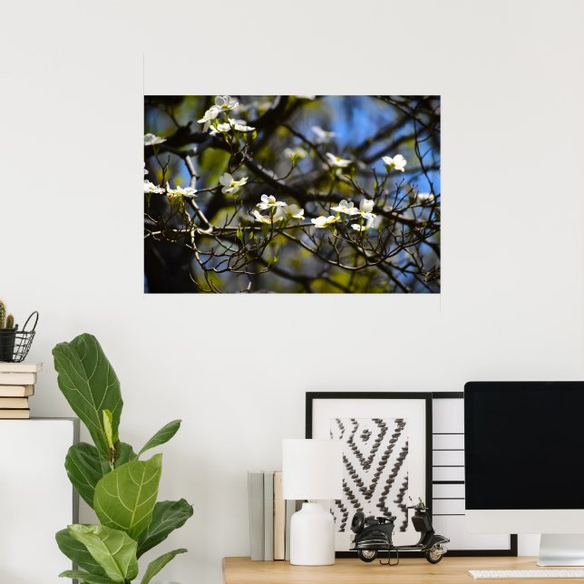 Affiche Dogwood Blossom, (Bureau à domicile)