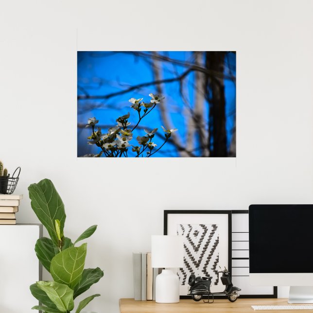 Affiche Dogwood Blossom, (Bureau à domicile)