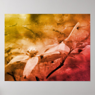 Affiche Dogwood Fleur Noir Et Blanc Vintage