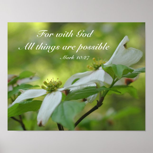 Affiche Dogwood With God Bible Quota d'inspiration (Devant)