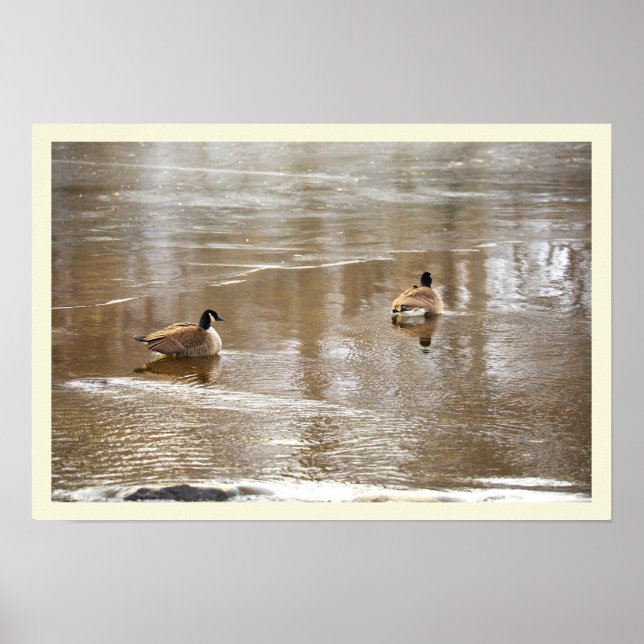Affiche d'oies dans le ruisseau glacé (Devant)