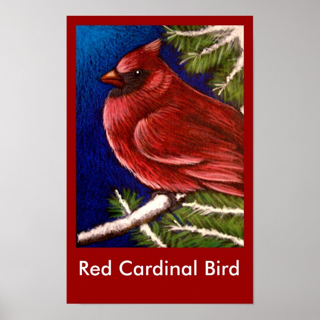 AFFICHE D'OISEAU CARDINAL ROUGE (Devant)