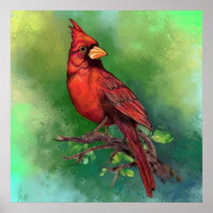 Affiche d'oiseau Cardinal Rouge du Nord - Peinture