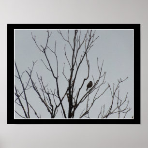 Affiche d'oiseau dans un arbre nu