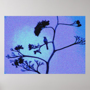 affiche d'oiseau moqueur