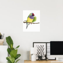 Affiche d'oiseau Pinson de Gould | Art d'oiseau au