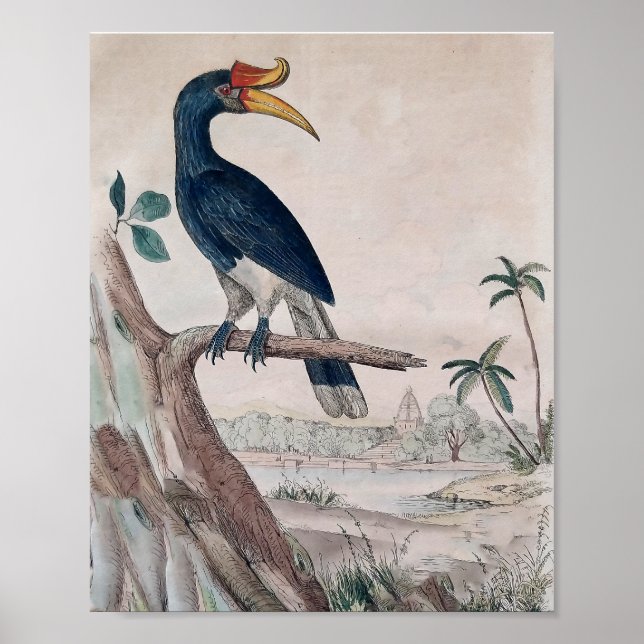 Affiche d'oiseaux (Devant)