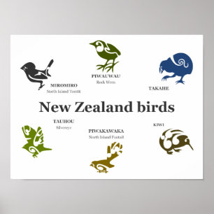 Affiche d'oiseaux de Nouvelle-Zélande
