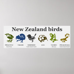 Affiche d'oiseaux néo-zélandais