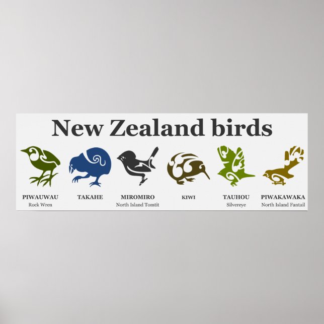 Affiche d'oiseaux néo-zélandais (Devant)
