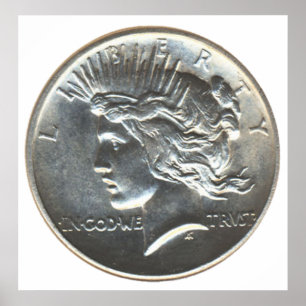 Affiche Dollar de la liberté