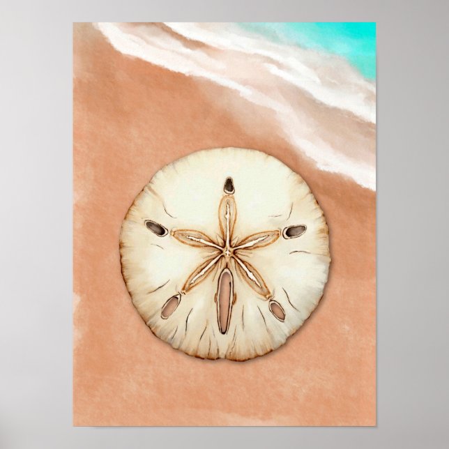 Affiche Dollar de sable d'aquarelle sur la plage (Devant)