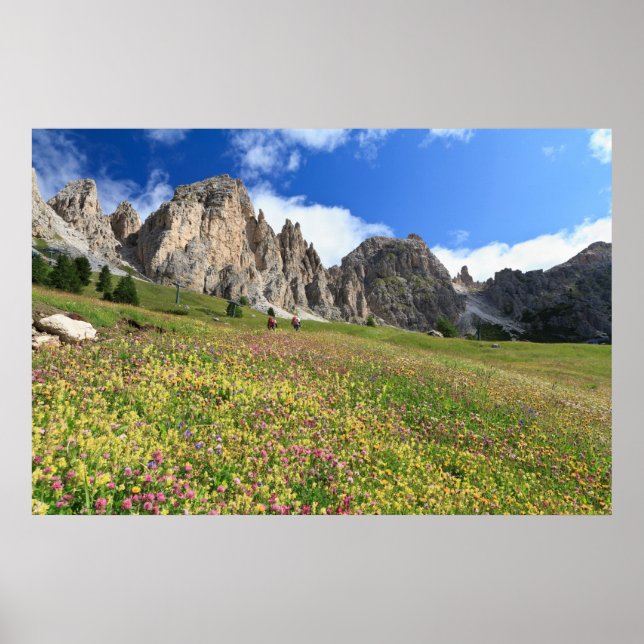 Affiche Dolomites Cirspitzen (Devant)