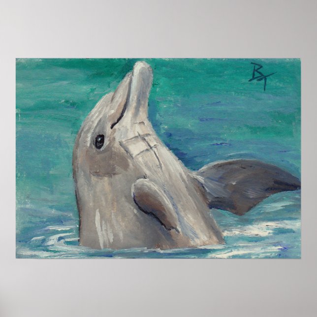 Affiche Dolphin aceo (Devant)