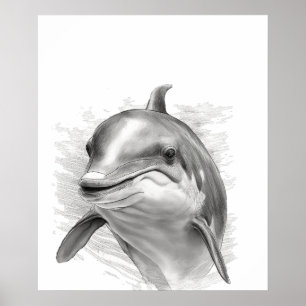 Affiche Dolphin Sketch Portrait noir blanc