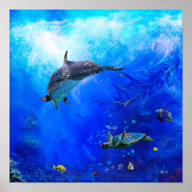 Affiche Dolphin World WIND (Devant)