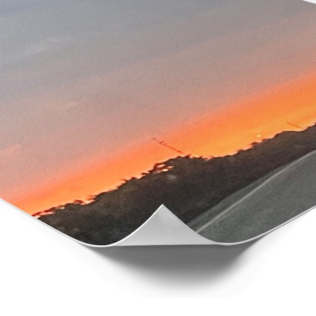 AFFICHE DOLPHINE (Coin)