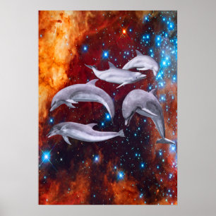 Affiche Dolphins étoilés
