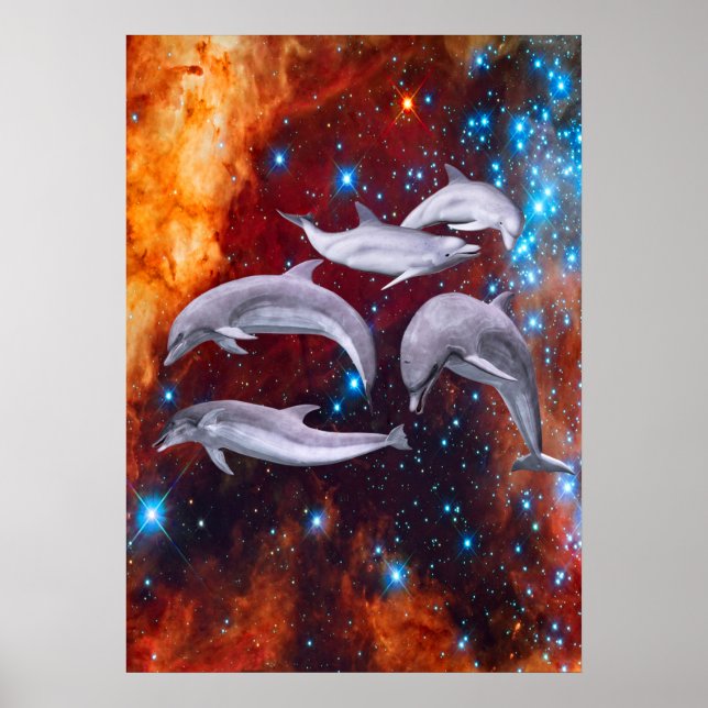 Affiche Dolphins étoilés (Devant)