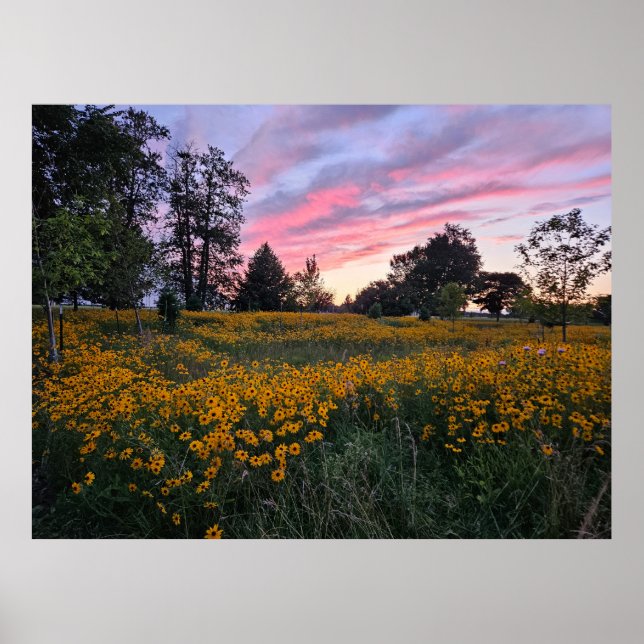 Affiche Domaine des rêves (Devant)