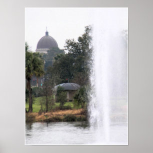 Affiche Domes Dans Le Parc