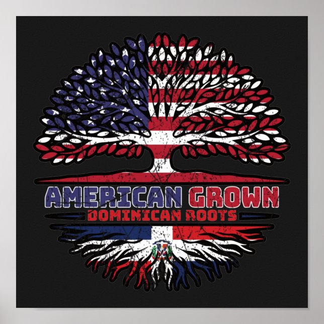 Affiche Dominican Republic US American États-Unis (Devant)