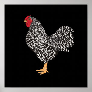 Affiche Dominique Rooster