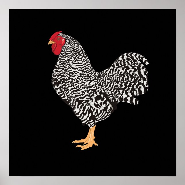 Affiche Dominique Rooster (Devant)