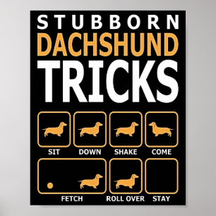 Affiche Don de chien  Trucs de Dachshund têtus