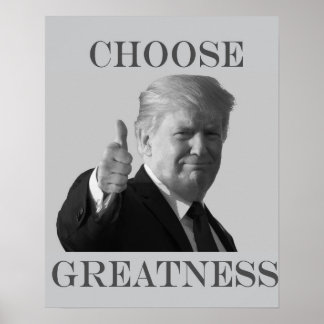 Affiche Donald Trump choisit la grandeur