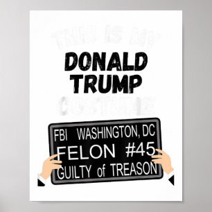 Affiche Donald Trump Prison Condamnation, Anti Trump For P