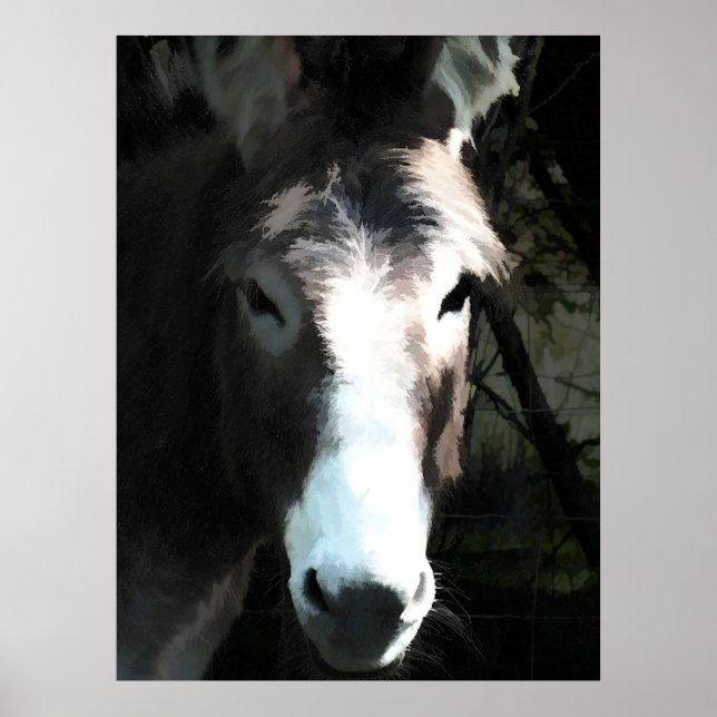 AFFICHE DONKEY (Devant)