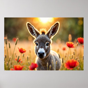 Affiche Donkey été harmonie paysage rural art