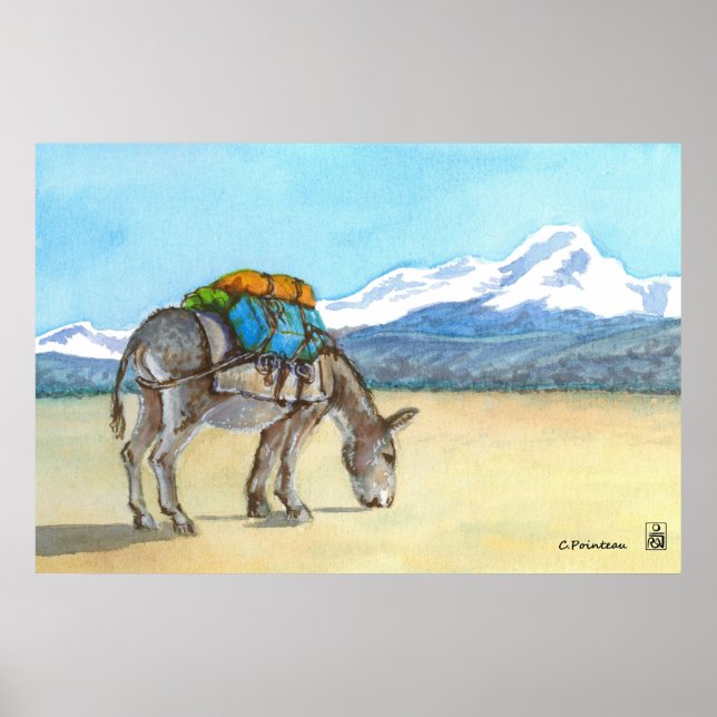 Affiche Donkey sur High Plateau, Amérique du Sud (Devant)