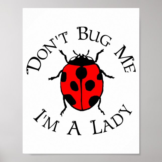 Affiche Dont Bug Me Im A Lady  (Devant)