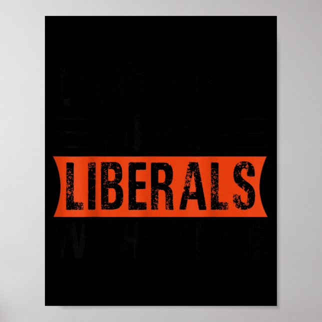 Affiche Don't Make Fun Of Liberals Without Me Funny Litica (Devant)