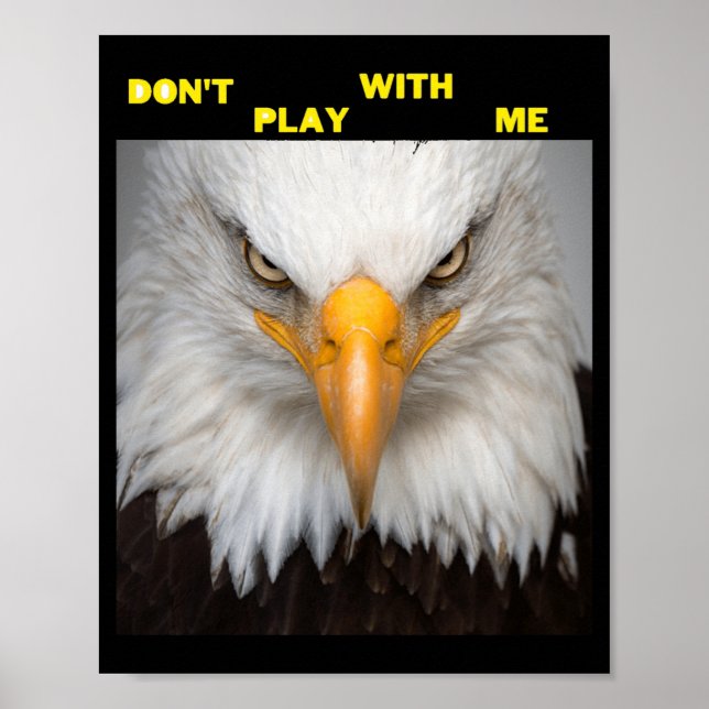 Affiche Dont Play With Angry Eagle  (Devant)