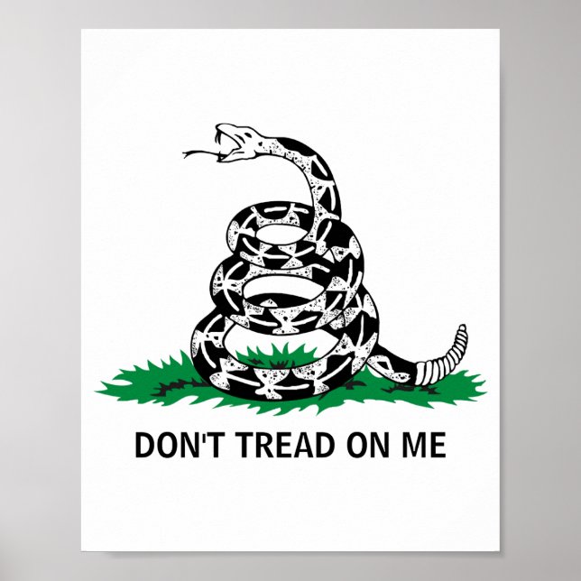 Affiche Dont Tread On Me  (Devant)